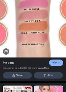 FLOWER BEAUTY POT BLUSH