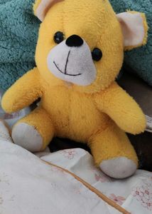 Small Teddy Bear