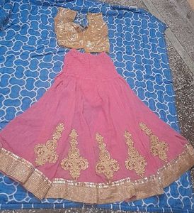Pink & Gold Lehenga Choli