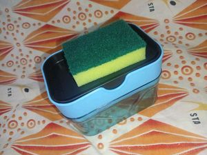 Anjani Unique Soap Dispenser