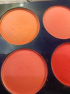 Perfect Blush Kit