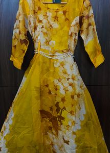Beautiful Organza Gown