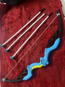 Archery Arrows With Holder