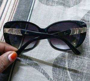 Eva Italy Ladies Sunglass