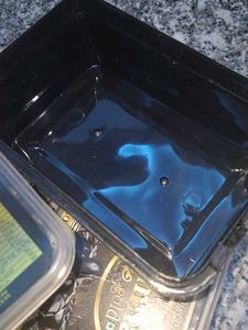 5 Empty Dates Container