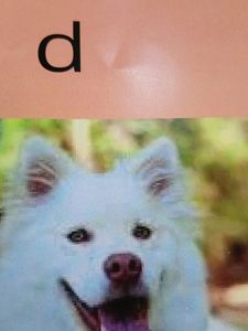 ABC Book for Toddlers