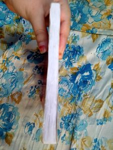 NCERT Biology Exemplar Book Class XII (12th)