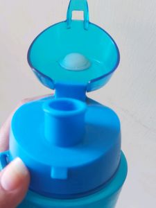 Water Bottle(650ml)