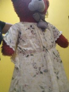 Floral Print Mini Dress