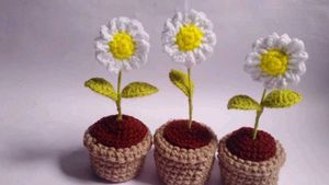 Crochet Daisy Plant Decor
