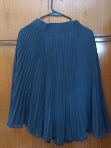 Pleated Skirt