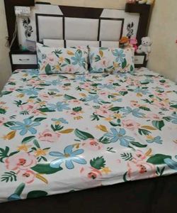 Elastic Fitted Double Bed Bedsheet with 2 Pillow C