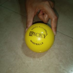 ARRZOO RUBBERS RICKY Wind Ball Cricket Training