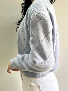 Blue Cardigan