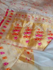 Elegant Multi colour Saree