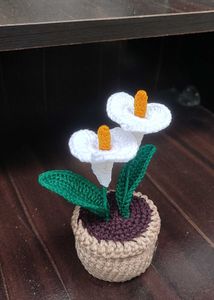 Crochet Calla Lily Plant