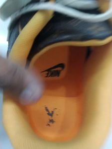 Nike And Lv Collab Shoe