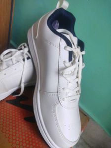 Campus White and navy blue Casual Sneakers for men