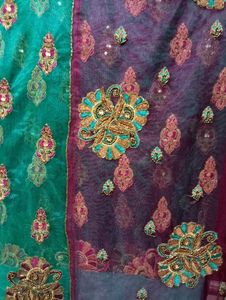 net saree with superb contrast with blouse