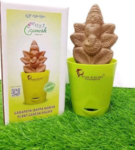 Plant Ganesh Idol in Pot