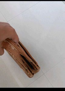 Brown Handbag