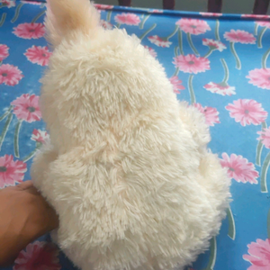 teddy bear and woolen thread