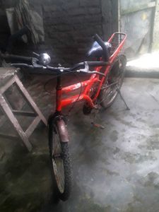 Red Tizzer Gang Bicycle