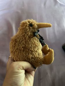 Small Kiwi Bird