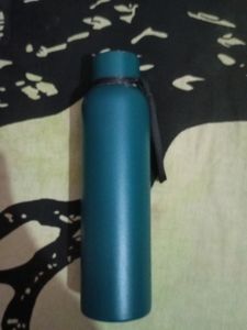 Pigeon Water Bottle