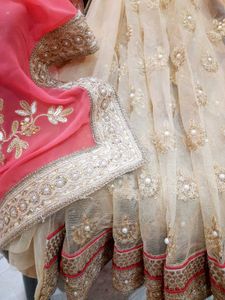 CORAL N GOLDEN NET SAREE