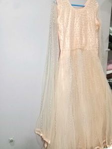 Elegant Ethnic Gown