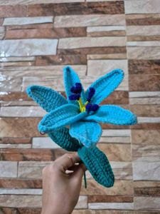 Crochet Lily's