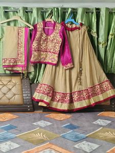 Embroidered Lehenga Choli Set