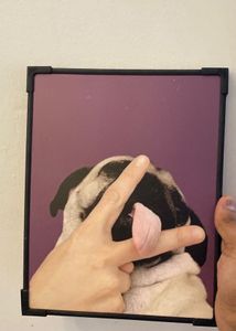 FRAME WHICH YOU CAN PUT UP ANYWHERE