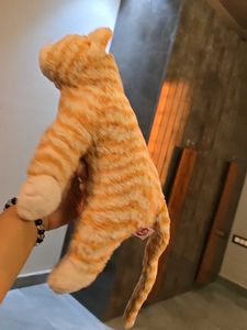 Cute Plush Cat Toy