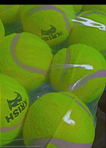 Genius Sports Cricket Tennis Ball