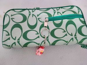 Assecory/Pen Carrying Bag