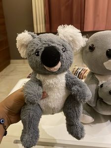 Koala Plush Set