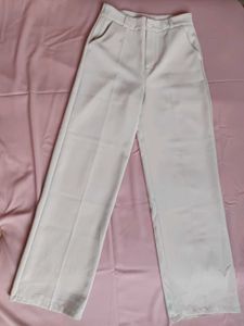 formal pants