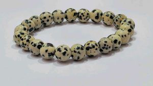 Dalmatian Jasper Stone Bracelet