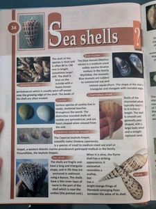 Encyclopedia For School Students