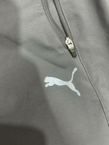 Puma Gray Track Pants For Men
