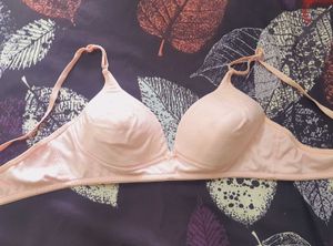 combo of 4 premium bras