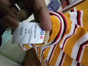 Max Yellow Black Stripes Tshirt