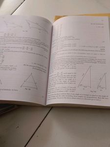 Maths Class 10th Rd Sharma