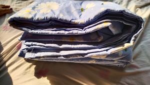 Winter Double Comforter