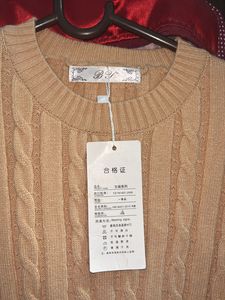 Beige Full Sleeve Woven Dress Korean