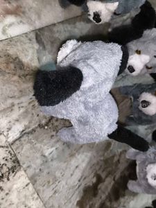 Cute Little Puppy Toy 🧸