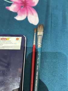 CAMLIN WATER COLOURS WITH 2 FREE BRUSHES