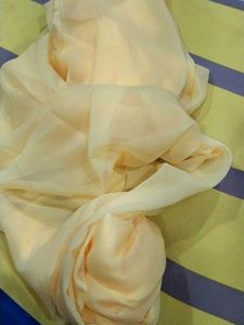 Elegant Chiffon Dupatta